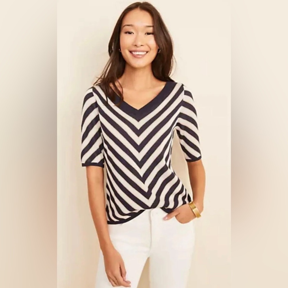 Ann Taylor Chevron V-Neck Sweater In Night Sky (navy) Size Medium